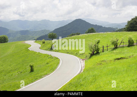 Curvas sinuosas carreteras rurales en prados verdes y hermosas vistas a la montaña en un paraje natural en la primavera
