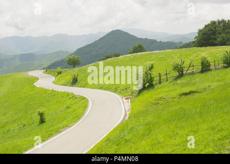 Curvas sinuosas carreteras rurales en prados verdes y hermosas vistas a la montaña en un paraje natural en la primavera