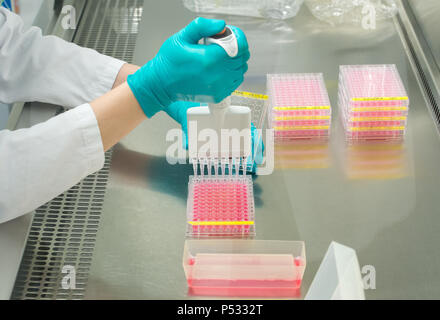 Trabajo de laboratorio: Preparación de muestras en una placa de PCR de 96 pocillos en el ELISA-diagnóstico