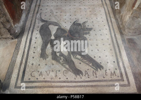 Perro representado en el mosaico romano de Cave canem (Cuidado con el perro) en la casa del poeta trágico (Casa del Poeta Tragico) en el sitio arqueológico de Pompeya (Pompei) cerca de Nápoles, Campania, Italia. Foto de stock
