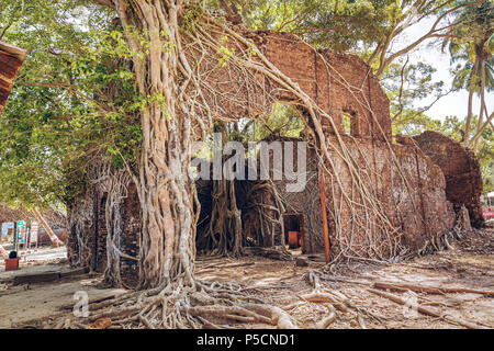 Antiguo Edificio de arquitectura colonial ruinas en la isla de Ross, Andaman, India. Foto de stock