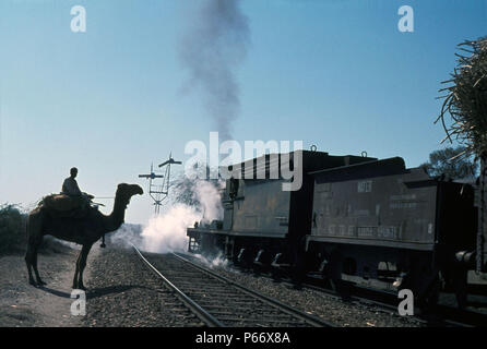 Un Tribesman con su camello se espera para cruzar la vía del ferrocarril de Pakistán como un cilindro interior británicos construyeron 0-6-0 pasa con un tren de mercancías pesadas en S Foto de stock
