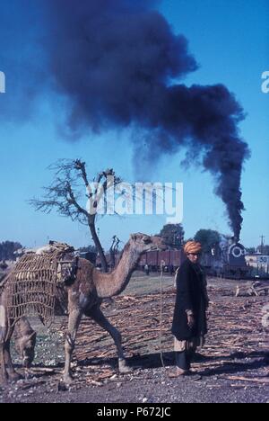 Un tribesman con su camello espera cruzar la pista como un Pakistán ferrocarriles británicos construyeron interiores del cilindro 0-6-0 pasa con un tren de mercancías pesadas en su Foto de stock