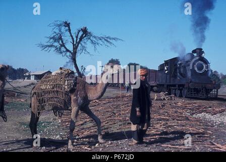 Un tribesman con su camello espera cruzar la pista como un Pakistán ferrocarriles británicos construyeron interiores del cilindro 0-6-0 pasa con un tren de mercancías pesadas en su Foto de stock