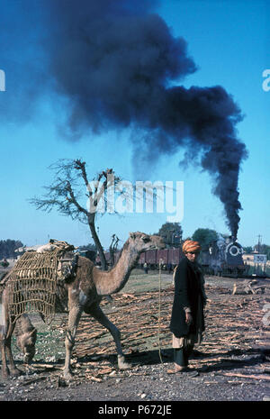 Un Tribesman con su camello se espera para cruzar la vía del ferrocarril de Pakistán como un cilindro interior británicos construyeron 0-6-0 pasa con un tren de mercancías pesadas en S Foto de stock