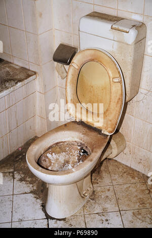 Sucio y descuidado WC químico stand colocado en un sitio de construcción  Fotografía de stock - Alamy