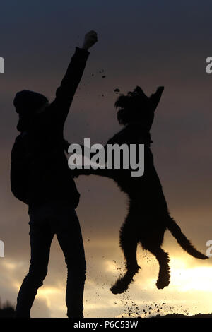 Wustrow, Alemania - Silhouette, niño jugando a la pelota con su perro en una duna en la noche Foto de stock