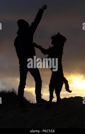 Wustrow, Alemania - Silhouette, niño jugando a la pelota con su perro en una duna en la noche Foto de stock