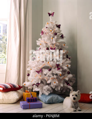 West Highland Terrier y envolver para regalo regalos debajo de un árbol de navidad artificial blanco decorado con bolas de color púrpura Foto de stock