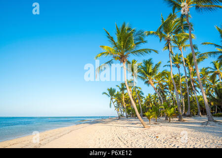 La playa de Cabeza de Toro, Punta Cana, República Dominicana. Foto de stock