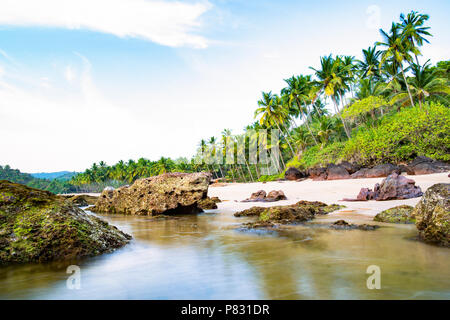 La larga exposición. Hermoso y relajante playa flanqueada por palmeras verdes al atardecer. Varkala, Kerala, India. Foto de stock