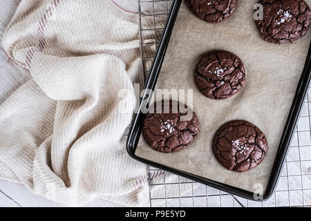 Brownies de chocolate cocido sobre una bandeja para hornear colocada sobre una rejilla metálica. Foto de stock