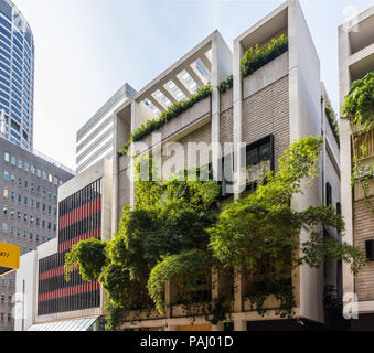 Edificios verdes en Sydney, Australia - El Ivy en George Street. Foto de stock