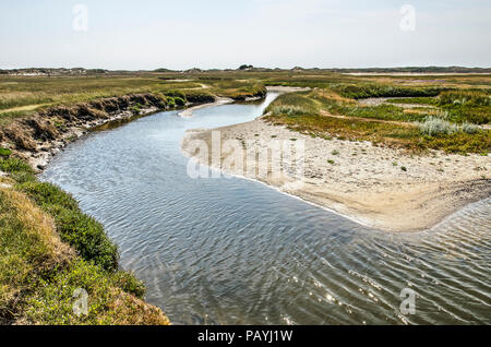 Verano el sol brillaba sobre el agua ligeramente onduladas de una marea Creek, en la reserva natural de Slufter holandés en la isla de Texel Foto de stock