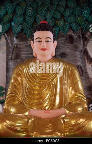 Chua Thiep Long pagoda budista. Estatua de Buda sentado. La pose de meditación. Thay Ninh. Vietnam. Uso | en todo el mundo Foto de stock