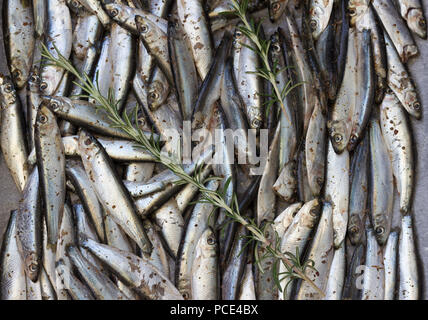 Las sardinas, sazonado y preparado para microondas
