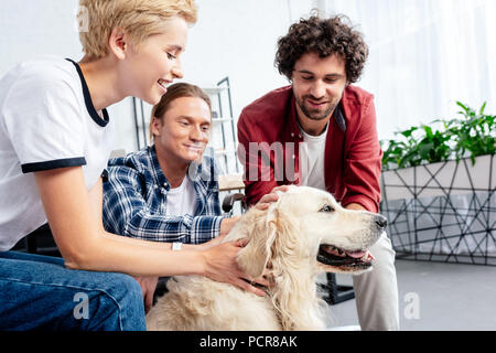 Sonriente joven colegas acariciar a perros en Office