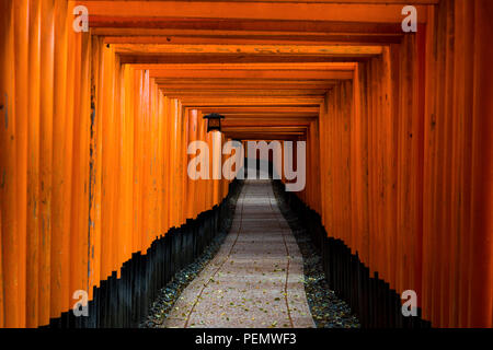 Tori rojo Gate en Fushimi Inari Shrine en Kyoto, Japón. Foto de stock