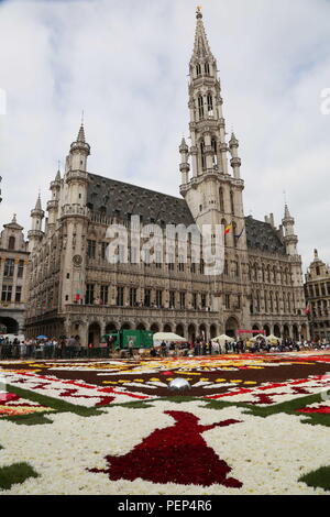 ↠ Bruselas – Tapetes para comedor