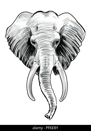 Ilustración acuarela retrato de elefante con orejas de mariposa. Hermosa  Wildlife World Fotografía de stock - Alamy