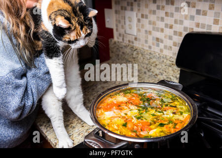 Mujer sosteniendo un naughty mischief culpable curioso gato negro por sopa de verduras caseras en la encimera de la cocina, el vapor caliente Foto de stock