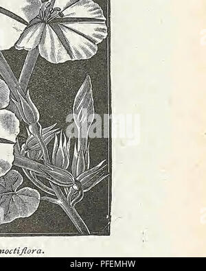 Mariposa Unicornio Pestañas Impresión De Flores De Niños T-Shirt De La Ropa  De Los Niños De Don Precioso Vintage Lindo Camisetas De Verano Tops 2021  descuento / Tops Y Camisetas \\ www.oromagazine.cl