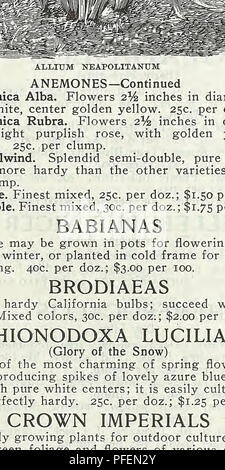 . Catálogo Descriptivo de verduras, flores y semillas agrícolas. Viveros (horticultura); viveros; semillas; las bombillas (Plantas); la jardinería; EQUIPOS Y SUMINISTROS; plantas de jardín; Weeber &Amp; Don. CYCLAMEN CYCLAMEN Estos son algunos de los lugares más hermosos e interesantes de invierno y primavera bulbos de floración para la ventana ana invernadero. No sólo son los. Flores de impactante belleza, pero el follaje es también muy ornamentales; por consiguiente, son muy decorativas, incluso cuando no está en flor. No hay mejor adaptada para las plantas de maceta la cultura, y son pocos los que producen tal profusión de Bloom. Persicum. En colores.