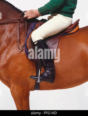 Jinete de caballos marrones, riendas en las manos y los pies en estribos ajustado para saltar, vista lateral de la cintura para abajo. Foto de stock