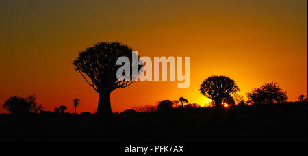 Romántica puesta de sol sobre el bosque cercano Köcherbaumwald Quivertree Namibia Foto de stock