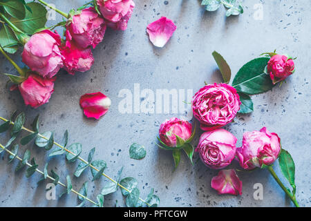 Rosas rosas sobre un fondo gris. Colocar flores planas composición, vista desde arriba. Foto de stock