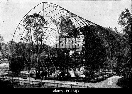 . Popular guía oficial para el parque zoológico de Nueva York. El Parque Zoológico de Nueva York. Guía oficial de 136 populares. Jaula voladora. capaz tamaño, dos hickories aud un roble; y contiene una piscina de agua un centenar de metros de largo, y arbustos en abundancia. La idea de una gran jaula para garzas y garcetas, no es nuevo, existen varias otras jaulas voladoras, algo menos que esto. La primera fue ei'ected en el Jardín Zoológico de Rotterdam por su Director, el difunto Dr. A. Von Bemmelin, cuyo experimento resultó ser muy exitosa. Otros se encuentran en Londres y en París, Jardin d'Acelimata- ción. Th