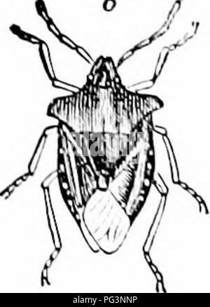 Bug scare инструкция