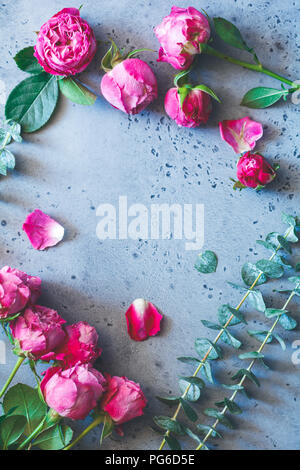 Rosas rosas sobre un fondo gris. Colocar flores planas composición, vista desde arriba. Foto de stock