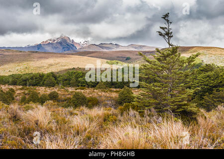 El paisaje en el Parque Nacional de Tongariro, Nueva Zelanda Foto de stock