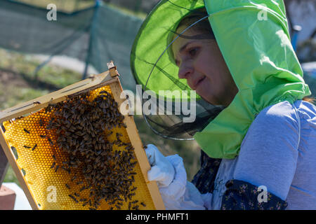 Controlar apicultor hembra colmena y peine frame Foto de stock