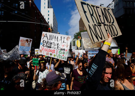 Nueva York, NY, EUA. El 1 de septiembre, 2018. Los manifestantes, con una diversidad de opiniones, y señales en el oficial de los derechos de los animales Marzo de NYC. Foto de stock