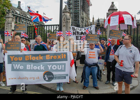 Londres, Reino Unido. 5º de septiembre de 2018. Los partidarios Pro-Brexit fuera del Parlamento Crédito: Alex Cavendish/Alamy Live News