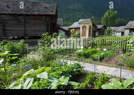 Paisaje urbano Mountain Village Walser asentamiento Bosco Gurin, Val di bosco, Vallemaggia, Tesino, Suiza Foto de stock