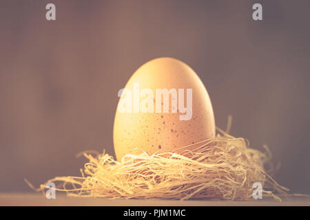 Un pollo en el nido de huevos de Pascua, motivo, Foto de stock