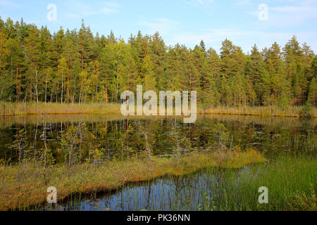 Paisaje de marismas pequeño lago en un día soleado de principios de otoño, en el suroeste de Finlandia.