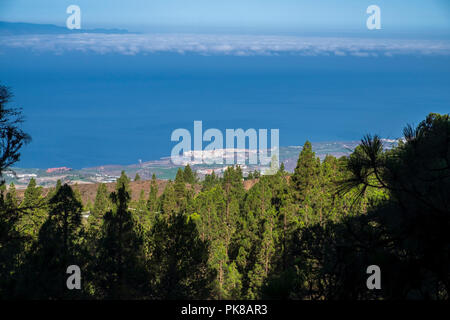 La costa oeste de Tenerife, Playa de San Juan, y el Abama resort vistos en un día claro desde unos 1000 metros sobre el nivel del mar en el bosque de pinos cerca de Tijoco