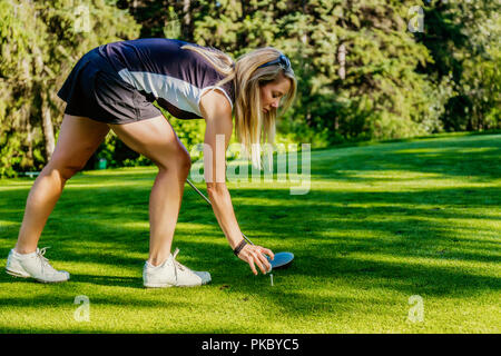 Un golfista femenina coloca una pelota de golf en un tee de salida y está listo con su conductor tee off, Edmonton, Alberta, Canadá Foto de stock