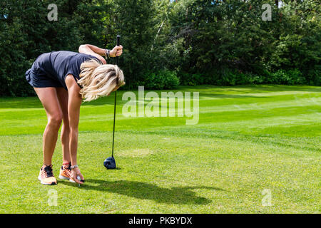 Un golfista femenina coloca una pelota de golf en un tee sujetando su conductor; en Edmonton, Alberta, Canadá Foto de stock
