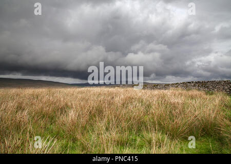 Cielo dramático y muro de piedra seca, Ribblesdale, Tres Picos, North Yorkshire Dales National Park