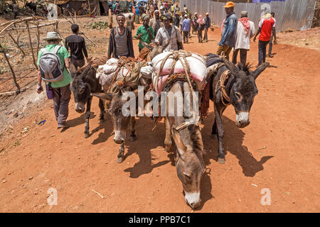 Dolo mercado Mena, en la región de Oromia, en Etiopía. Mercado de ganado. Foto de stock