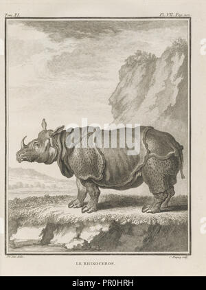Le rinocerontes, Histoire naturelle, générale et particulière: avec la description du cabinet de roi, Buffon, Georges Louis Foto de stock