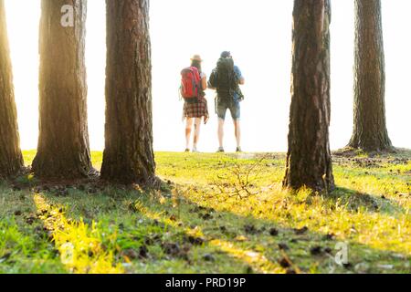 Ruta dura. Hermosa pareja joven senderismo juntos en el bosque mientras disfruta de su viaje.