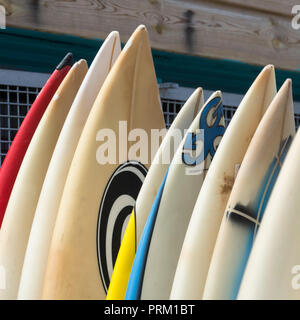Reflejo del mundo de surf, tablas de windsurf, surf y actividades / lifestyle en Newquay, Cornwall. Casa de Boardmasters Festival. Foto de stock