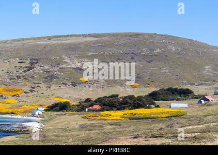 La granja de McGill, llamada localmente un campamento en la isla de despojos, Islas Malvinas Foto de stock