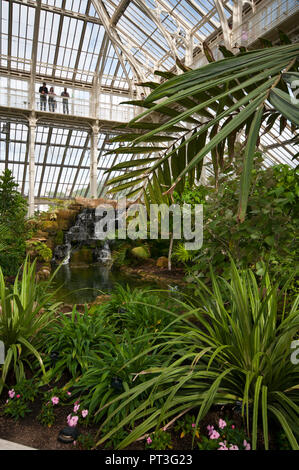 En el interior de la casa templada en el Royal Botanic Gardens de Kew Gardens de Londres Inglaterra Foto de stock